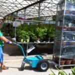 Système de traction pour rolls